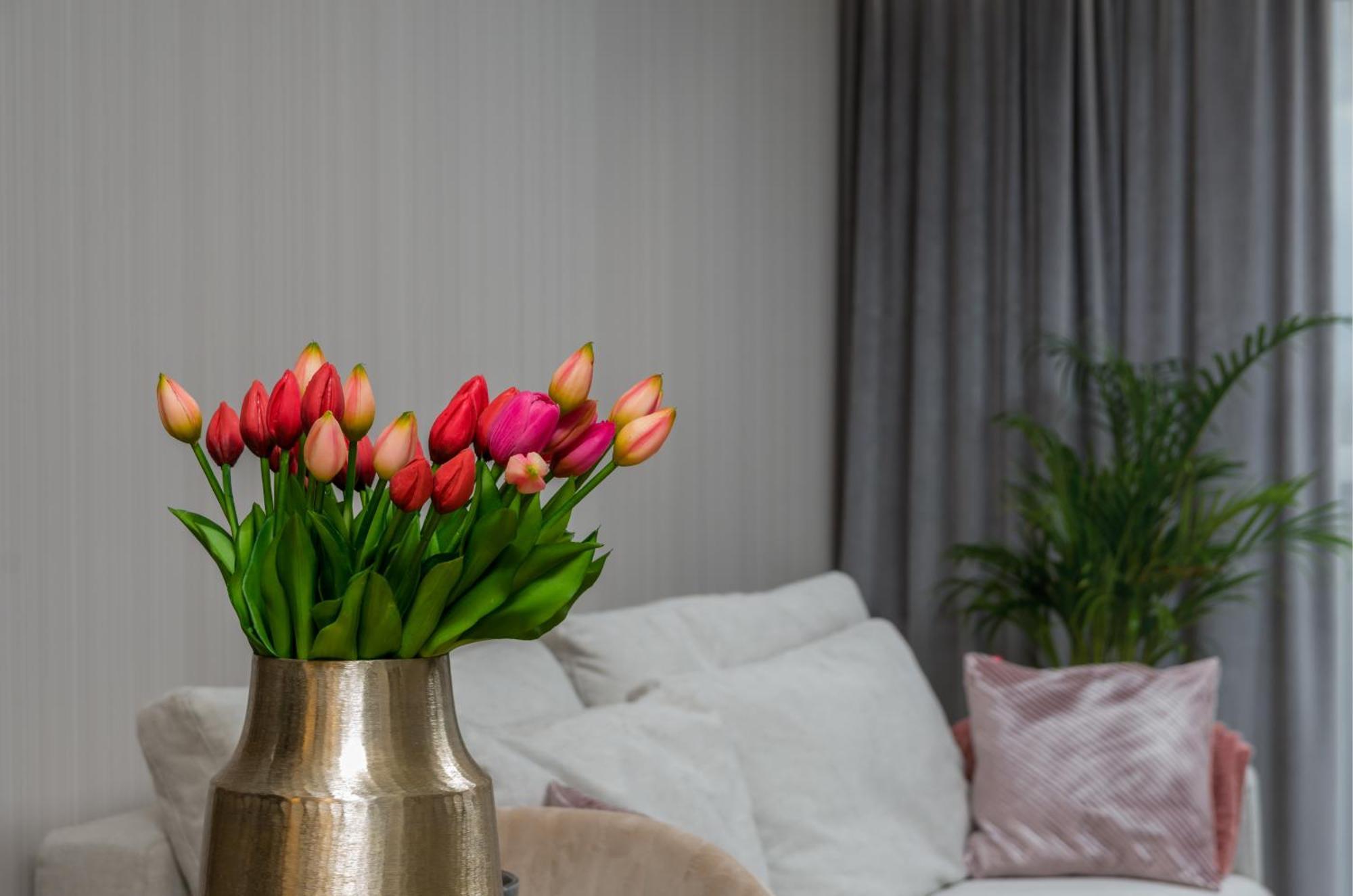 Apartment Premium House *